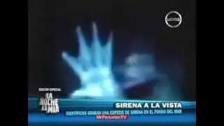 Científicos GRABAN A UNA SIRENA en el Fondo del Mar