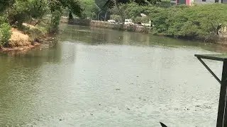 Live on tirur river