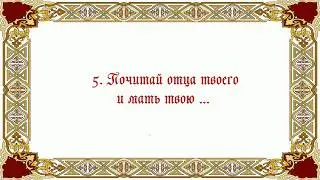 5 Заповедь.