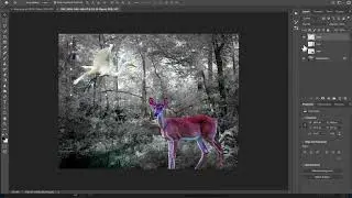 Introduction to Photoshop Layers