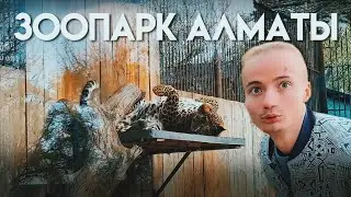 ТОП ЗООПАРКОВ МИРА. АЛМАТЫ. Откусили лапу леопарду!? Правда самый грязный?