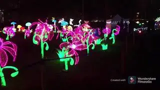 Фестиваль света, Tallinn 2020