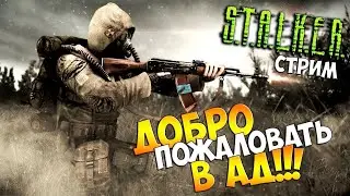 ВОЗВРАЩЕНИЕ В ЛЕГЕНДАРНУЮ ИГРУ S.T.A.L.K.E.R ЧАСТЬ 2