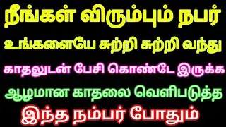 நீங்கள் விரும்பும் நபர் உங்களையே சுற்றி சுற்றி வந்து காதலுடன் பேசி கொண்டே இருக்க இந்த நம்பர் போதும்