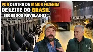 HOW TO PRODUCE 100,000 LITERS OF MILK PER DAY?