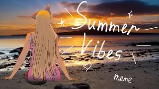 Summer Vibes meme
