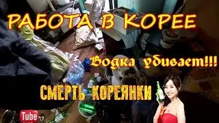 Работа в корее,Водка убивает людей!!!!