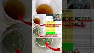 Лучшее средство от дрожжевых грибков итоги №2 