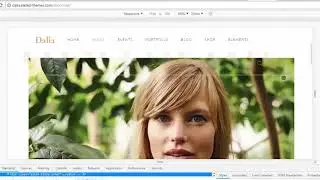 Dalia - A Modern Wellness and Lifestyle Theme - RESPONSIVE PROBLEM