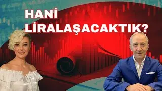 Hani Liralaşacaktık Dolar Kredileri Neden Artıyor