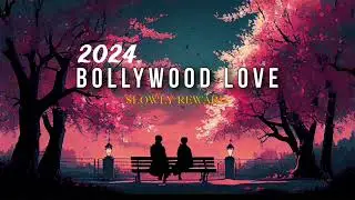 2024 Hollywood love 🥰 lofi Slowed-reward