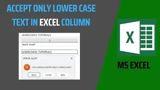 Accept only Lower case in Excel column