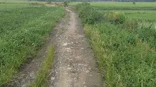 sub ind 3 spesial Perkaos