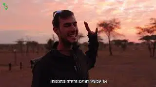 אוהד הנווד | ספארי באפריקה