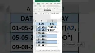 text function 