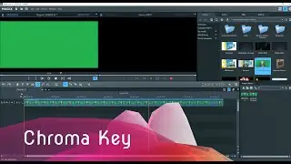 MAGIX Video Pro X Chroma Key Green Screen And Title