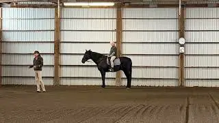 Why is Lateral Work Beneficial for your horse and when is it not?