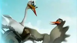 Storks getting old, needs care