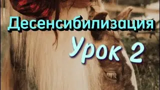 Десенсибилизация