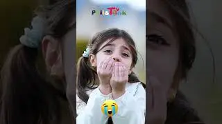 لیلان - شۆفێر