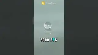 Water Droplet in Slow Motion 