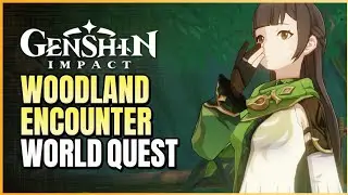 Withering Zone Puzzle Genshin Impact