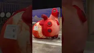 Выставка 