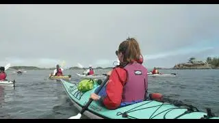 Protecting the wonders of the Great Bear Sea