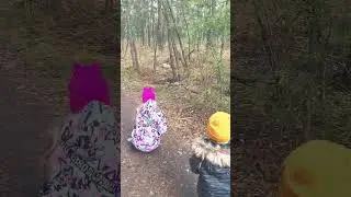 белки в парке Гагарина 2