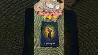 У Вас 💯👑важная миссия🌈🌳🌈