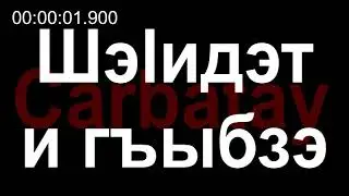 Адыгэ уэрэдыжь | Svetlana Kushha - Шэӏидэт и гъыбзэ (with lyrics) | Circassian song