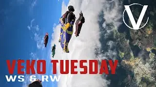 Wingsuits and RW - Veko 2023