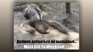 Лень – нераспознанная убийца судьбы