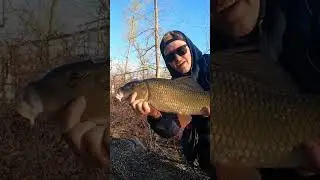 Fishing the Sucker Run #spring #catchandrelease