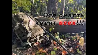 ВСЕ ВИДЫ РЫБЫ НА ОДНУ СНАСТЬ!!! РЫБАЛКА НА "Русской Амазонке"!!!