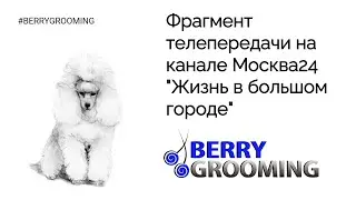 Фрагмент телепередачи на канале Москва24 