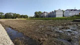 Черняховск. Состояние Замкового пруда (07.09.2024)