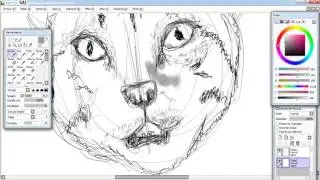Speed painting boceto/ paint tool sai/ Probando HUION H420