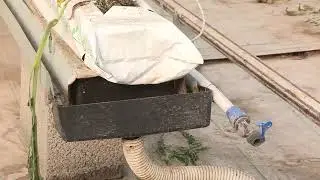 Тысячи тонн овощей замерзли в теплицах на юге Казахстана