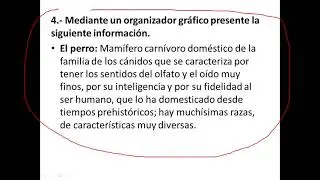 EVALUACIÓN DIAGNÓSTICA LENGUA Y LITERATURA 9NO