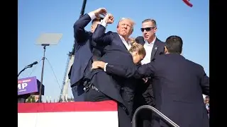 Donald Trump Gets Shot