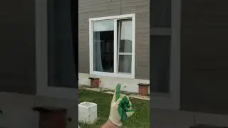 Не сдавайтесь - стройтесь.