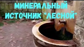 ПРОГУЛКА К МИНЕРАЛЬНОМУ ИСТОЧНИКУ  
