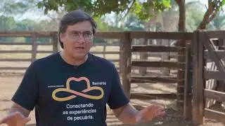 Software Berrante | Gestão eficiente da Fazenda