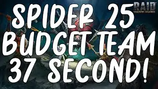 Budget Spider 25 Team - Understand the Mechanics!