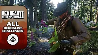 RDR2 [100% Walkthrough] - All Herbalist Challenges