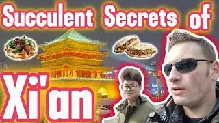 INSIDER Secrets of Xi'an: A Cultural and Culinary Adventure
