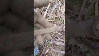 сорвали джекпот