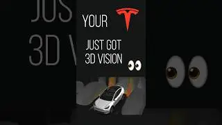 HUGE! Tesla Vision Park Assist Update #tesla #teslanews