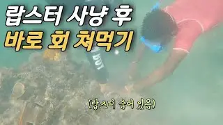 잔지바르 앞 바다에 랍스터 사냥! 실화? (세계여행 ep.23)